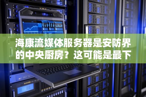 海康流媒体服务器是安防界的中央厨房？这可能是最下饭的技术科普！