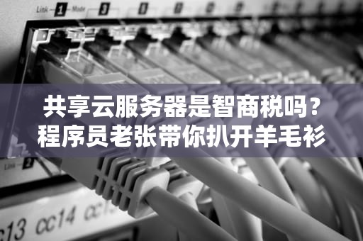 共享云服务器是智商税吗？程序员老张带你扒开羊毛衫看真相