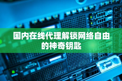 国内在线代理解锁网络自由的神奇钥匙