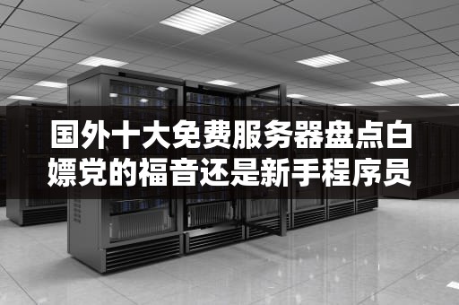 国外十大免费服务器盘点白嫖党的福音还是新手程序员的避坑指南？