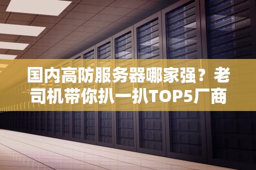 国内高防服务器哪家强？老司机带你扒一扒TOP5厂商的肉盾厚度