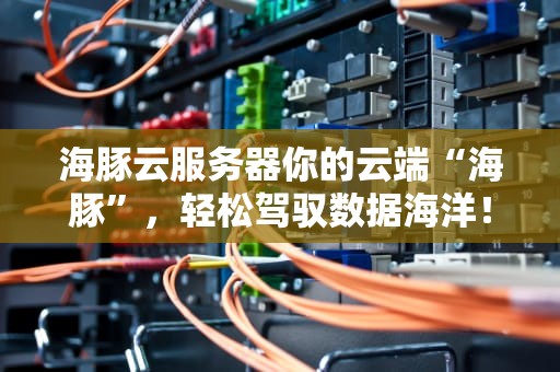 海豚云服务器你的云端“海豚”，轻松驾驭数据海洋！
