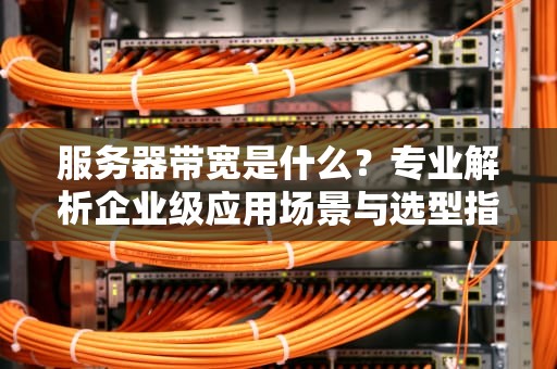 服务器带宽是什么？专业解析企业级应用场景与选型指南