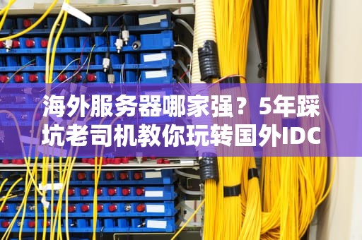 海外服务器哪家强？5年踩坑老司机教你玩转国外IDC的正确姿势