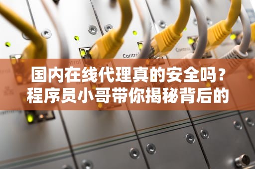 国内在线代理真的安全吗？程序员小哥带你揭秘背后的猫腻