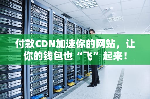 付款CDN加速你的网站，让你的钱包也“飞”起来！