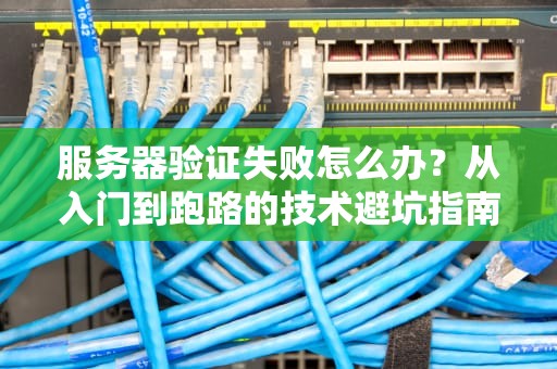 服务器验证失败怎么办？从入门到跑路的技术避坑指南