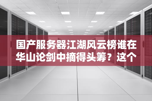 国产服务器江湖风云榜谁在华山论剑中摘得头筹？这个排名可能会颠覆你的认知