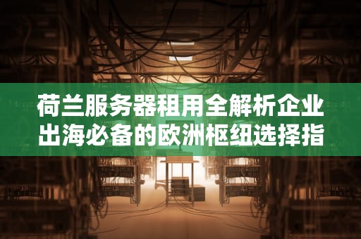 荷兰服务器租用全解析企业出海必备的欧洲枢纽选择指南