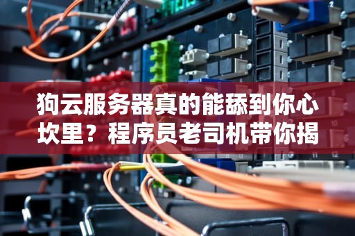狗云服务器真的能舔到你心坎里？程序员老司机带你揭秘背后的黑科技！