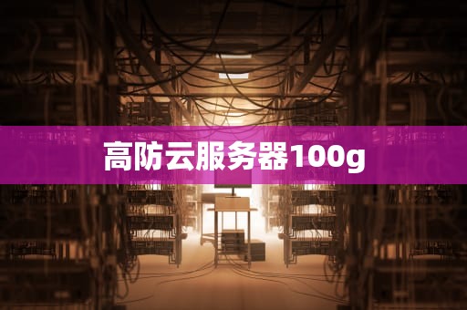 高防云服务器100g