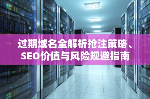 过期域名全解析抢注策略、SEO价值与风险规避指南