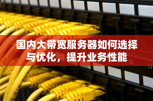 国内大带宽服务器如何选择与优化，提升业务性能