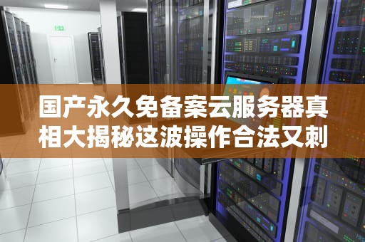 国产永久免备案云服务器真相大揭秘这波操作合法又刺激！