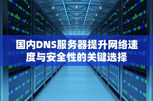 国内DNS服务器提升网络速度与安全性的关键选择
