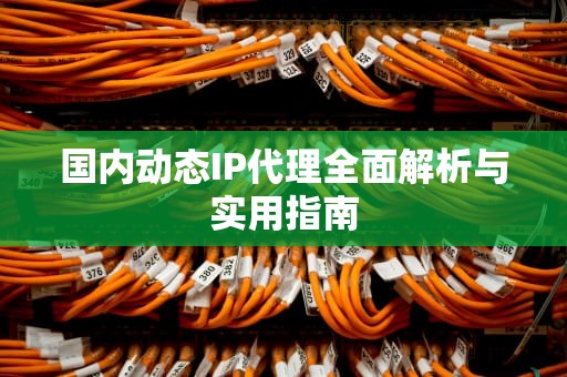 国内动态IP代理全面解析与实用指南