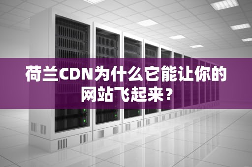荷兰CDN为什么它能让你的网站飞起来？