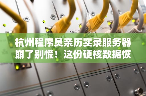杭州程序员亲历实录服务器崩了别慌！这份硬核数据恢复指南让你告别社会性死亡