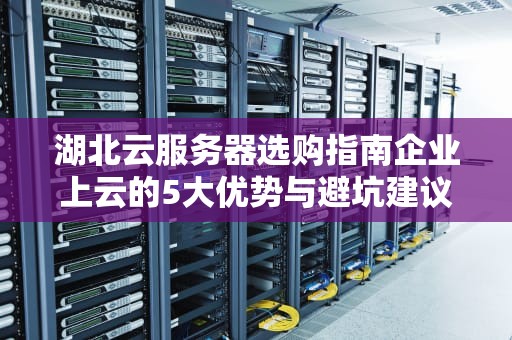 湖北云服务器选购指南企业上云的5大优势与避坑建议