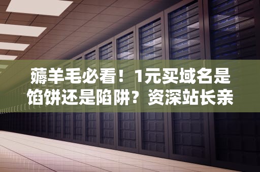 薅羊毛必看！1元买域名是馅饼还是陷阱？资深站长亲测血泪史