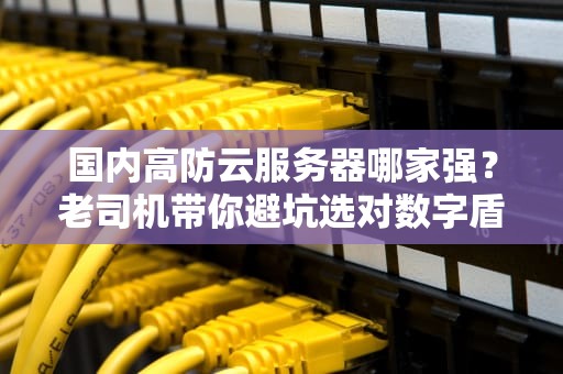 国内高防云服务器哪家强？老司机带你避坑选对数字盾牌