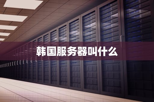 韩国服务器叫什么
