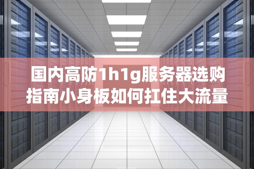 国内高防1h1g服务器选购指南小身板如何扛住大流量？
