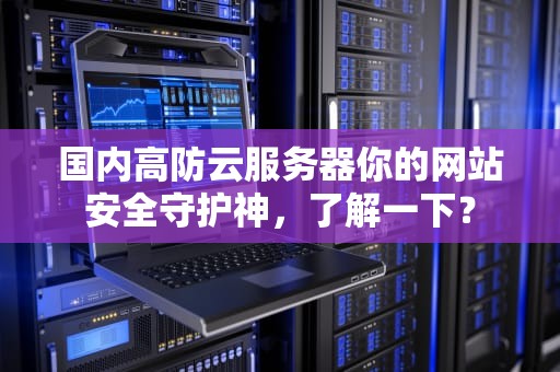 国内高防云服务器你的网站安全守护神，了解一下？