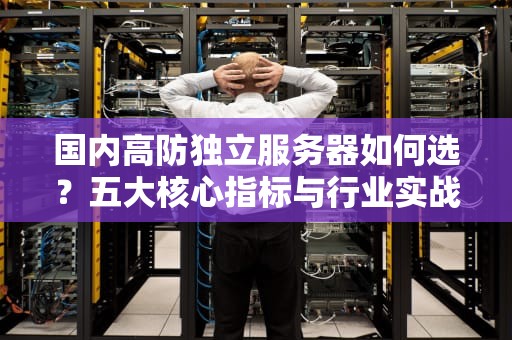 国内高防独立服务器如何选？五大核心指标与行业实战指南（2023版）