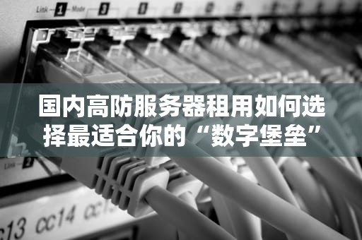 国内高防服务器租用如何选择最适合你的“数字堡垒”？