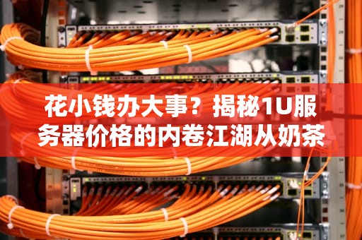花小钱办大事？揭秘1U服务器价格的内卷江湖从奶茶自由到机房自由只需这几步！