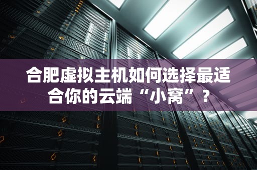 合肥虚拟主机如何选择最适合你的云端“小窝”？