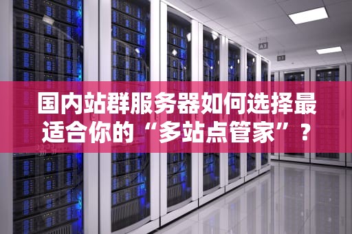 国内站群服务器如何选择最适合你的“多站点管家”？