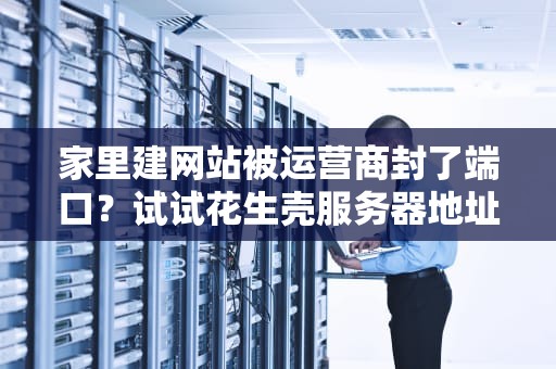 家里建网站被运营商封了端口？试试花生壳服务器地址这个神器！