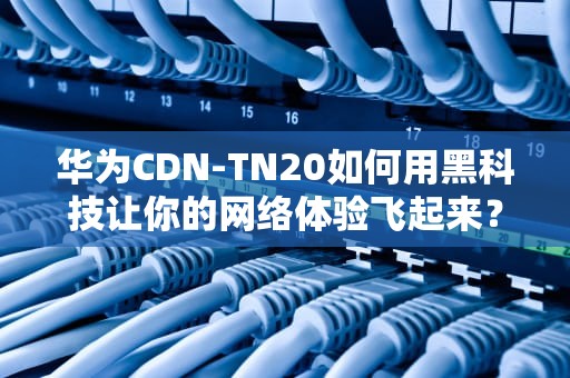华为CDN-TN20如何用黑科技让你的网络体验飞起来？