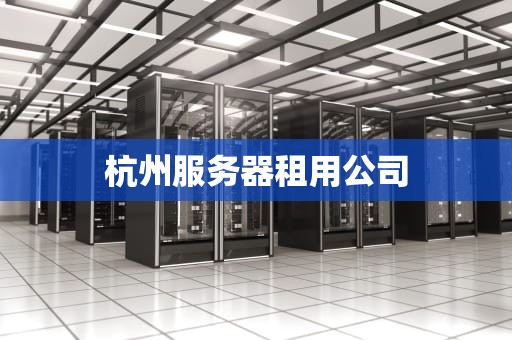 杭州服务器租用公司