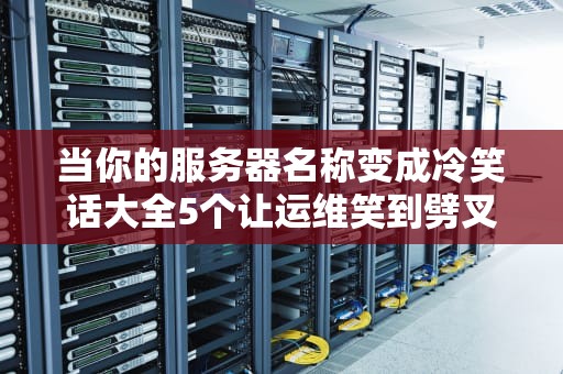 当你的服务器名称变成冷笑话大全5个让运维笑到劈叉的命名灾难现场