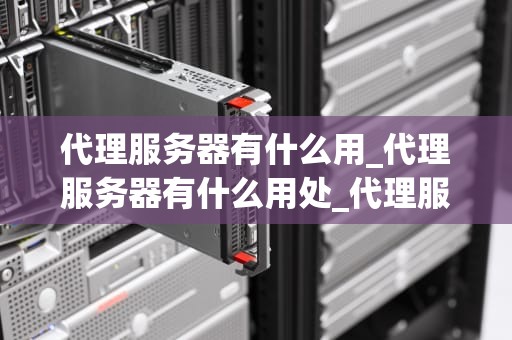 代理服务器有什么用_代理服务器有什么用处_代理服务器的用途与重要性