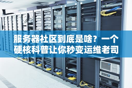 服务器社区到底是啥？一个硬核科普让你秒变运维老司机
