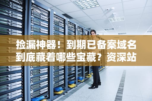 捡漏神器！到期已备案域名到底藏着哪些宝藏？资深站长带你揭秘