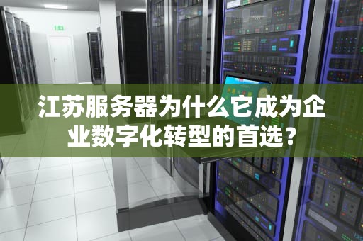 江苏服务器为什么它成为企业数字化转型的首选？