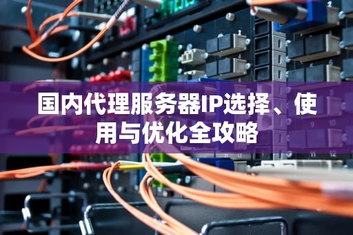 国内代理服务器IP选择、使用与优化全攻略