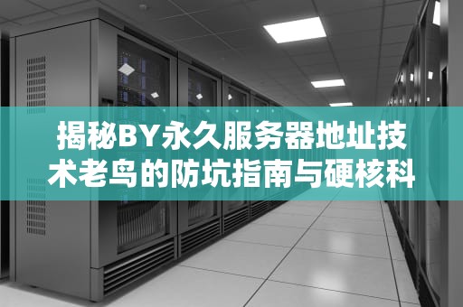 揭秘BY永久服务器地址技术老鸟的防坑指南与硬核科普