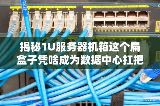 揭秘1U服务器机箱这个扁盒子凭啥成为数据中心扛把子？