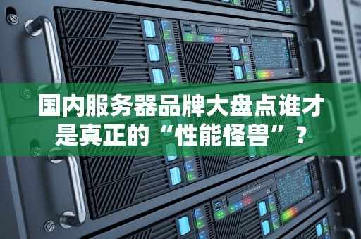 国内服务器品牌大盘点谁才是真正的“性能怪兽”？