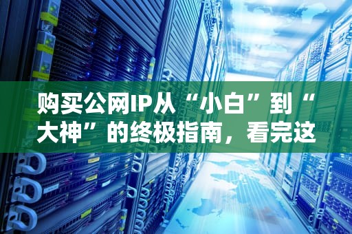 购买公网IP从“小白”到“大神”的终极指南，看完这篇你就懂了！