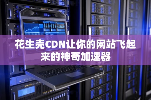花生壳CDN让你的网站飞起来的神奇加速器