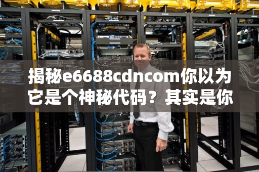揭秘e6688cdncom你以为它是个神秘代码？其实是你每天上网的顺丰快递