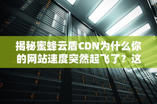 揭秘蜜蜂云盾CDN为什么你的网站速度突然起飞了？这可能是最接地气的技术科普