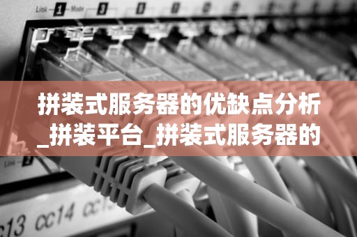 拼装式服务器的优缺点分析_拼装平台_拼装式服务器的优缺点分析